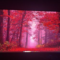 ASUS ROG Swift PG27AQN 27” 1440p 360Hz Gaming Monitor