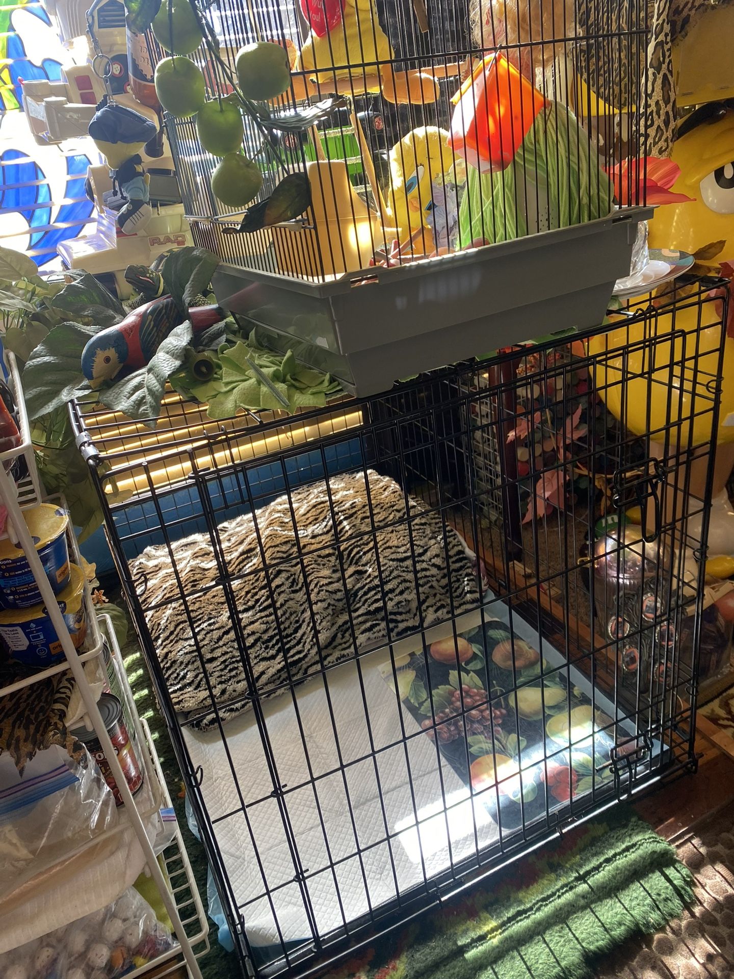 Dog Cage