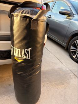 Everlast punching bag