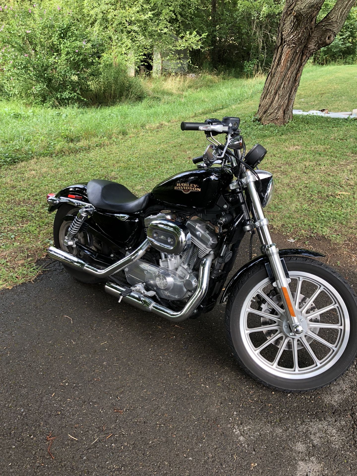 Harley Sportster 883XL