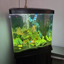 Fish Tank For Sale 
