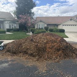 Free Wood Chips 