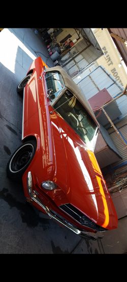 Body Work And Paint