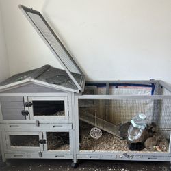 Cage 