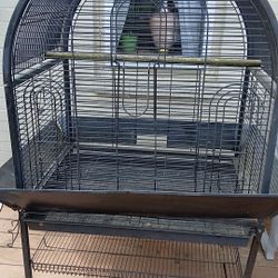 Bird Cage 