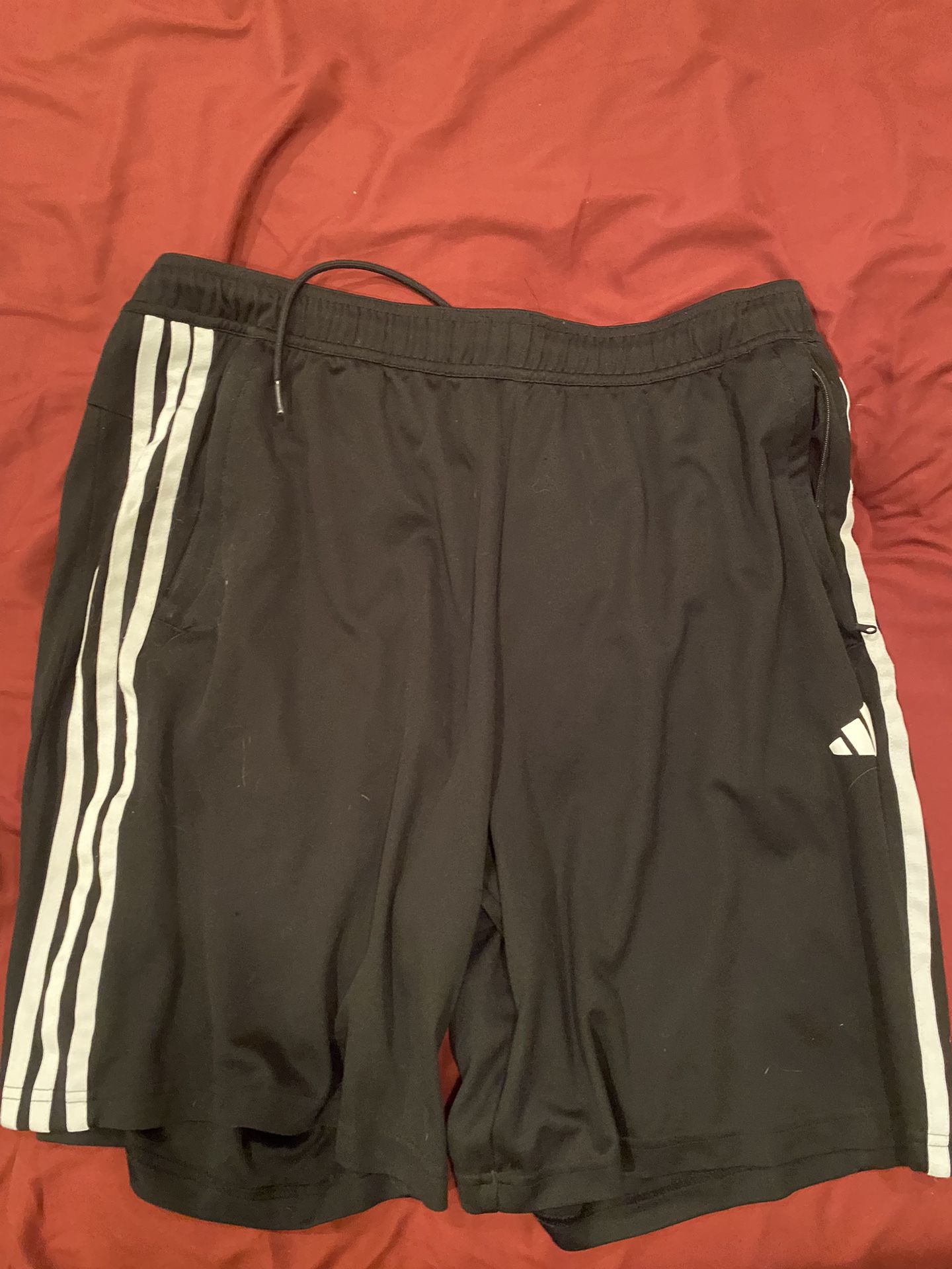 Adidas Shorts XL