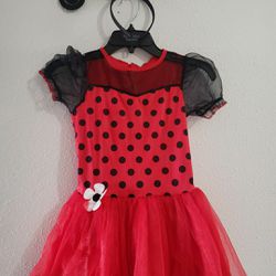 Lady bug Costume with wings