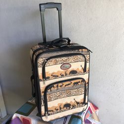 Carry on bag