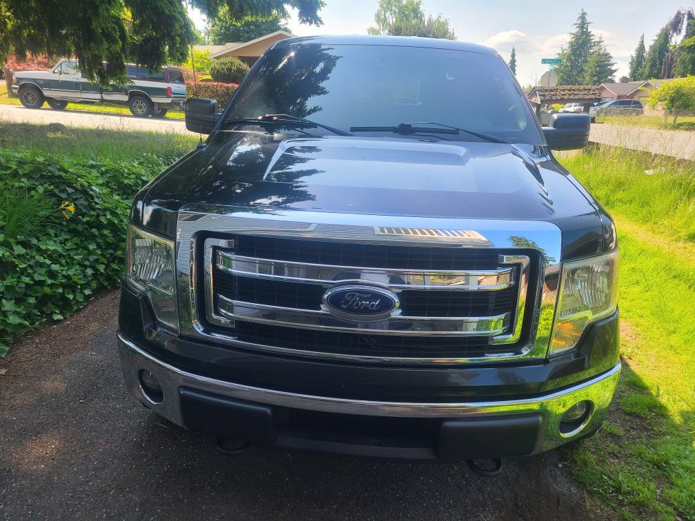 2013 Ford F-150