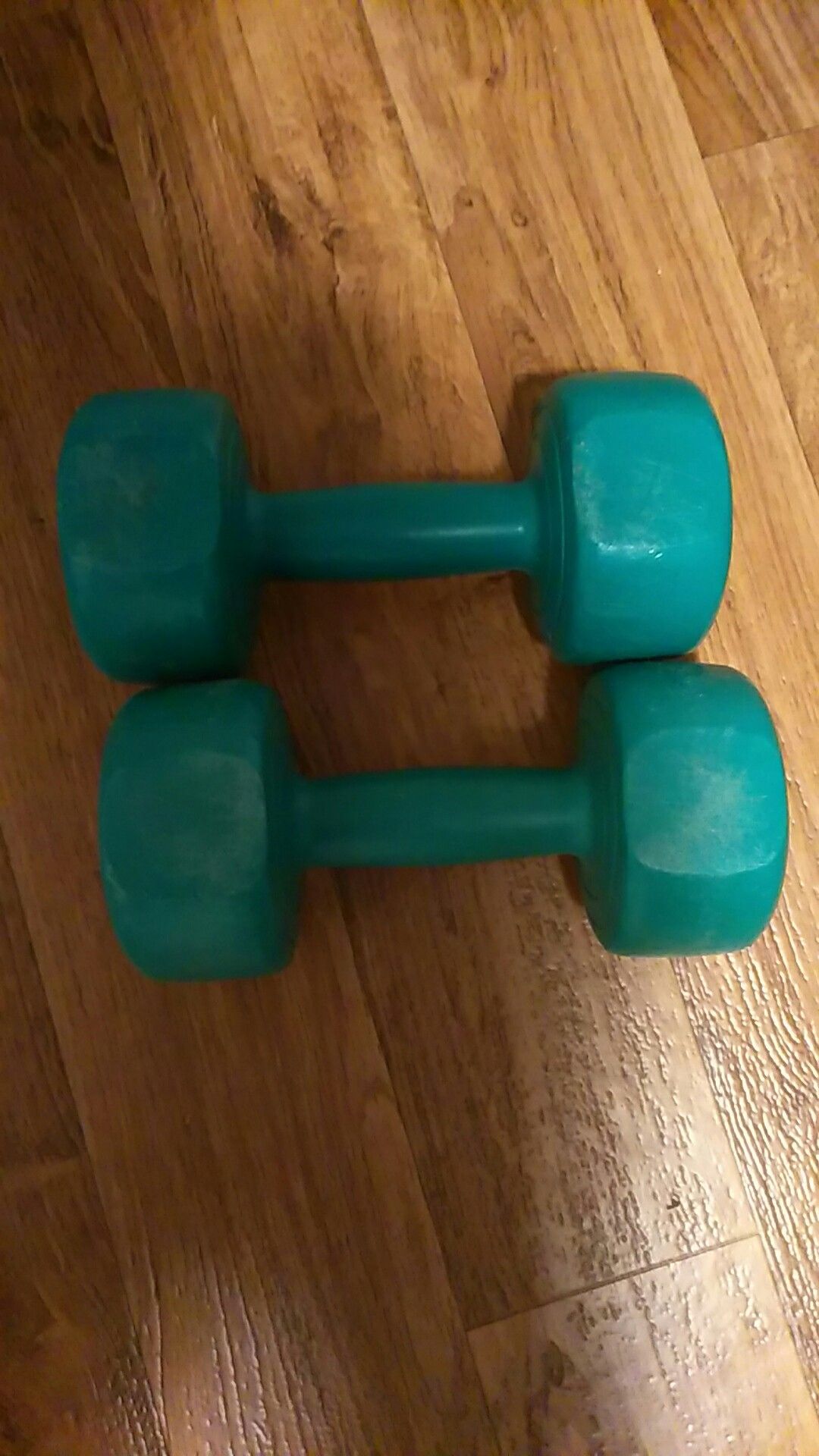 5lbs weights $5