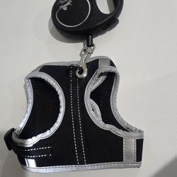 Cat Harness And Leash