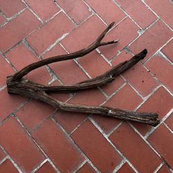 Medium sized Driftwood