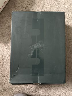 Lebron “what The”