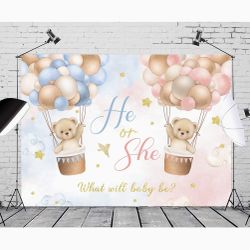 Gender Reveal backdrop decoration 