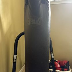 Everlast Heavy Punching Bag with Stand 