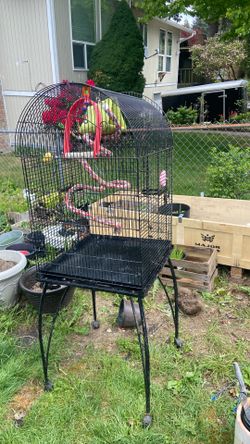 Birds cage with accessories height 5ft with stand cage height 36 inches width 23X23  pick up. E. Side Tacoma
