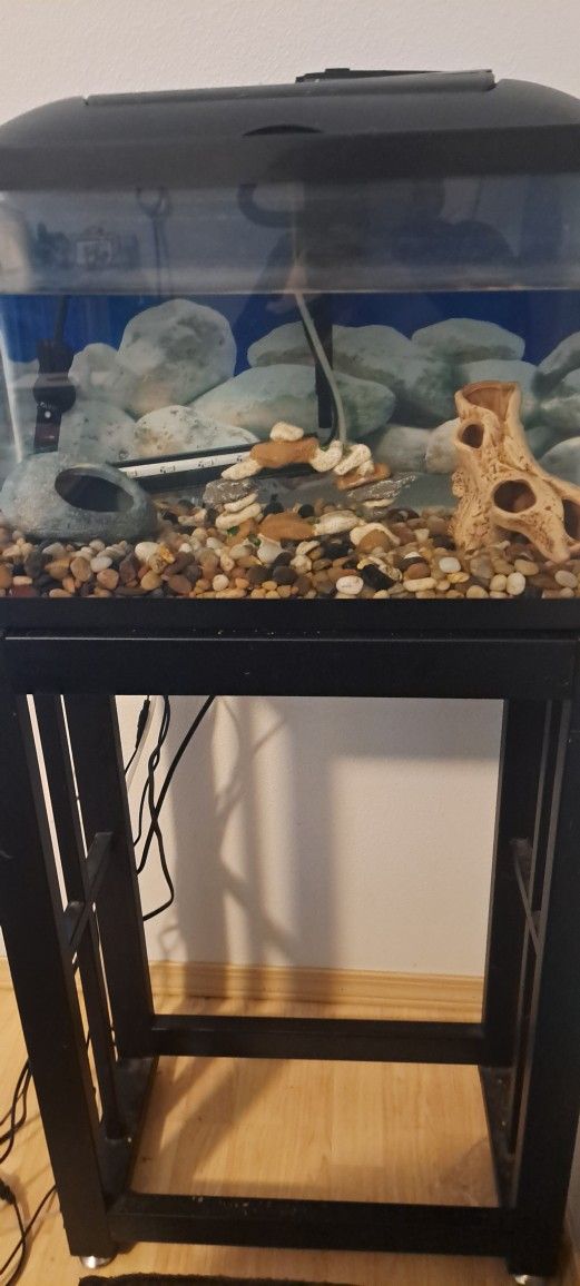 10 Gallon Fish Tank & setup! Ready to go! 