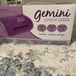 Gemini Junior 