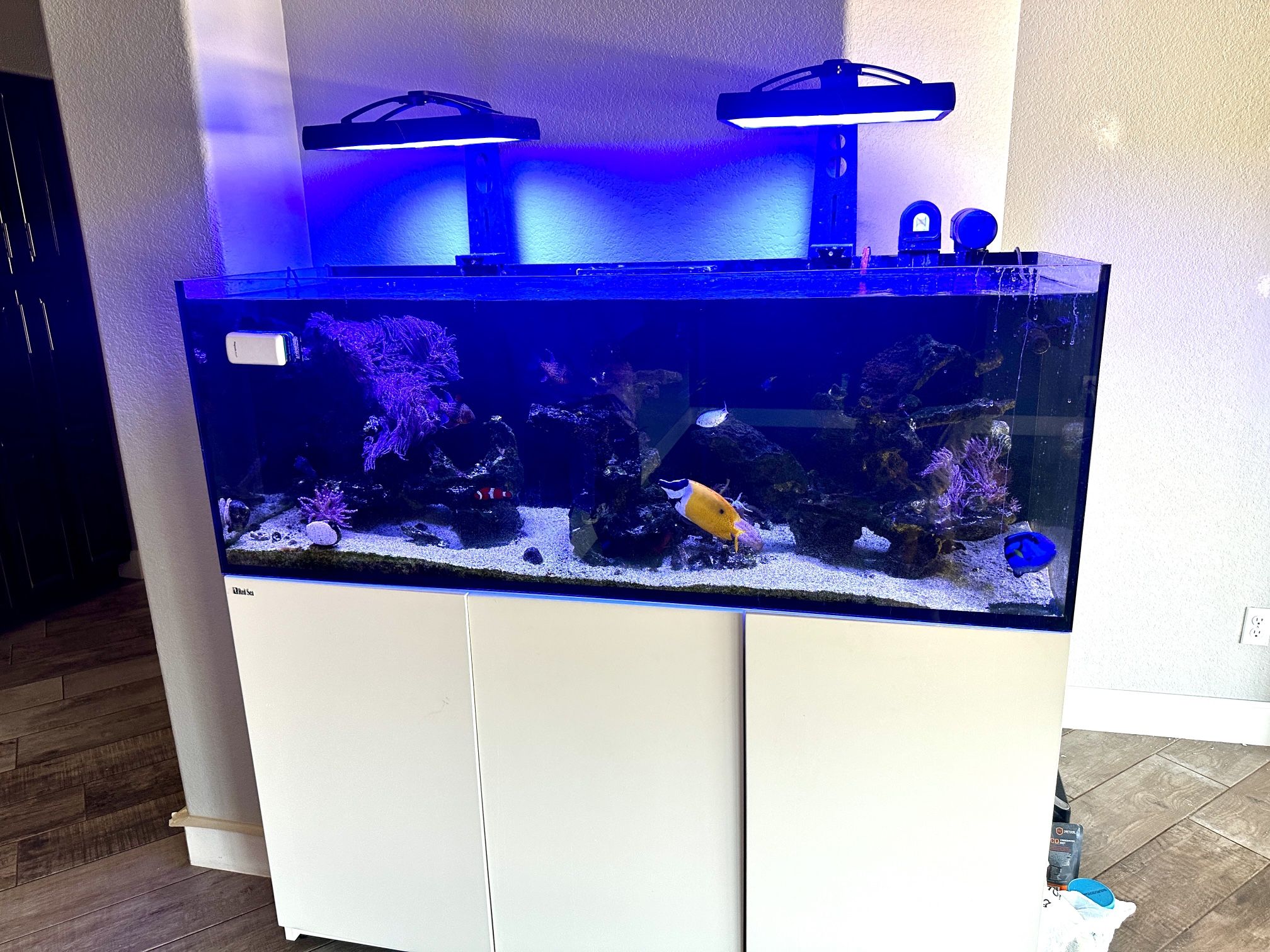 Red Sea Reefer 450 Saltwater Aquarium