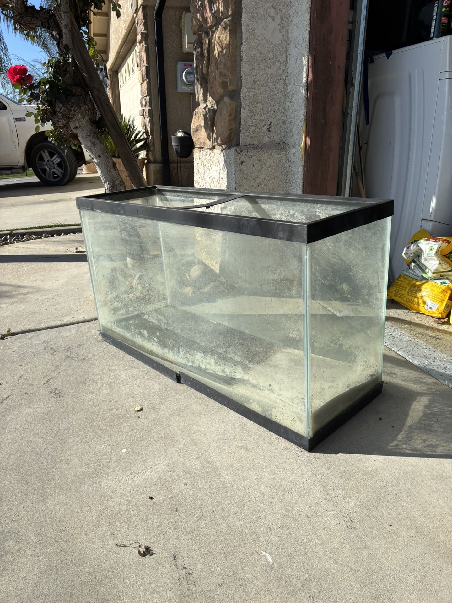 Fish Tank 
