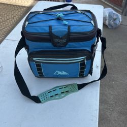 Used Lunch Bag/cooler