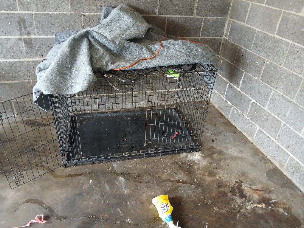Big Dog Cage