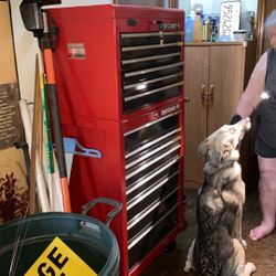 Craftsman Tool Chest 