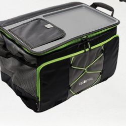 BRAND NEW PICNIC COOLER 