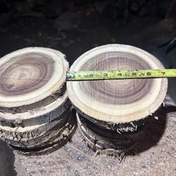 Wood Slices