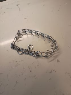 Prong or Pinch Collar