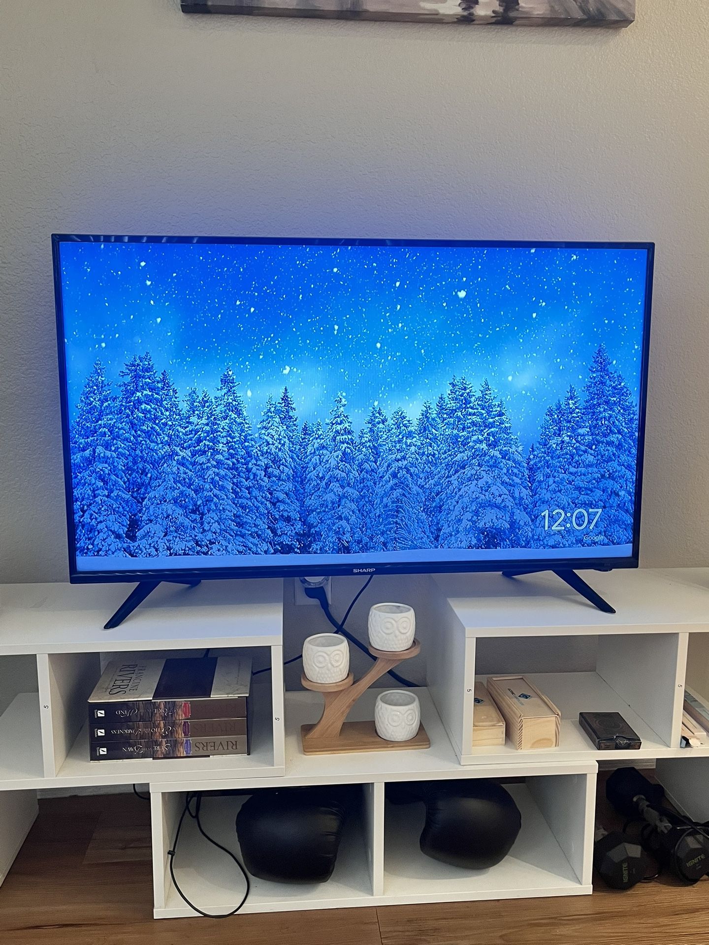 Sharp 40" Flat Screen TV
