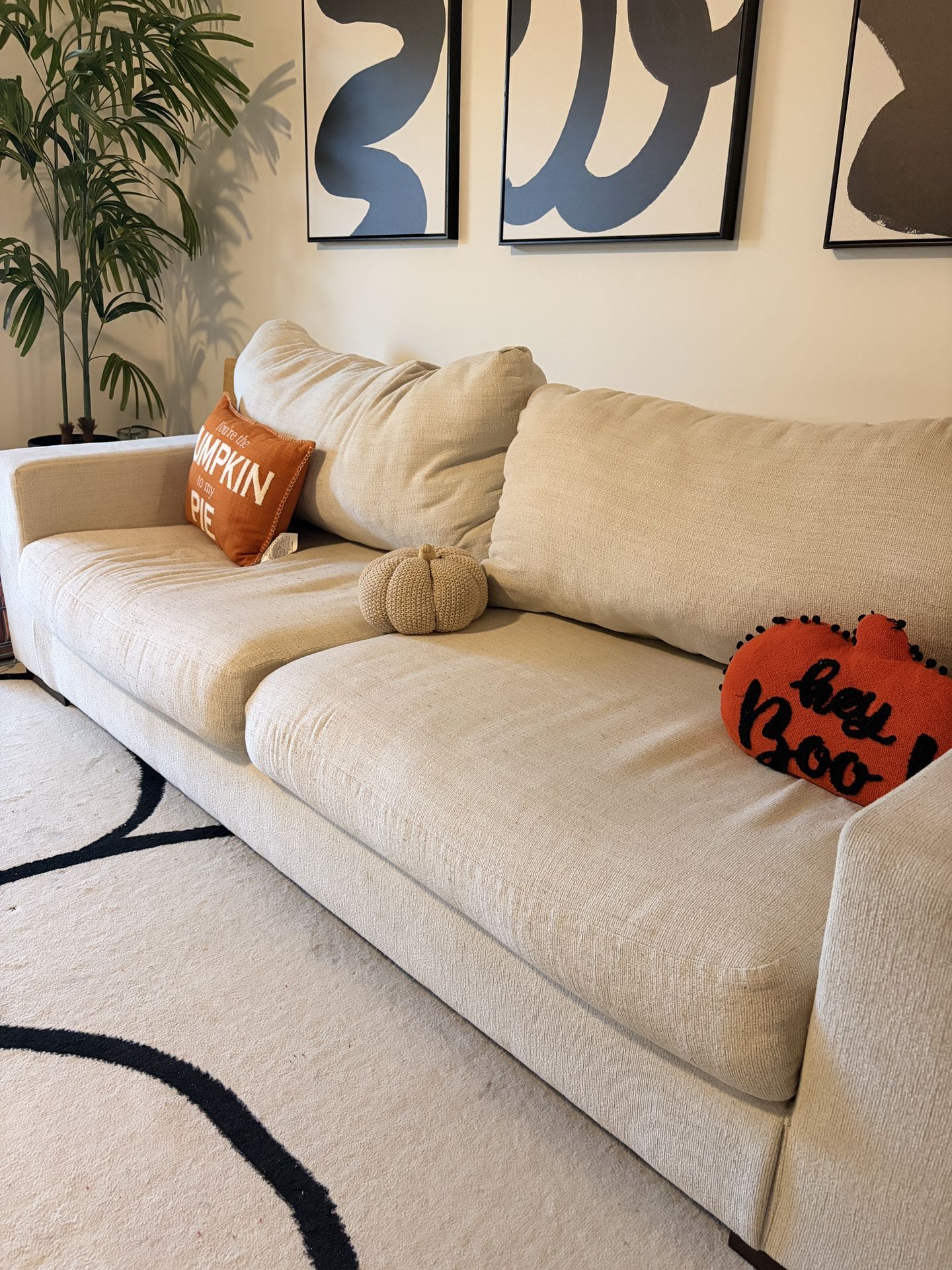 MUST GO COUCHES ‼️