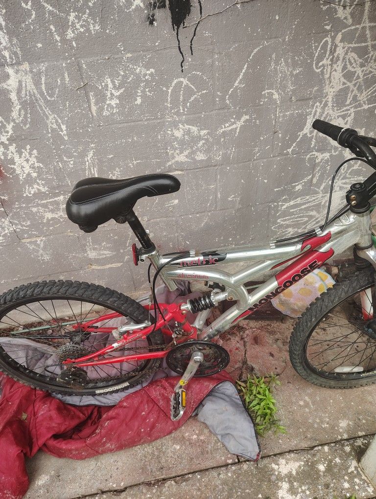 Mountain Bike