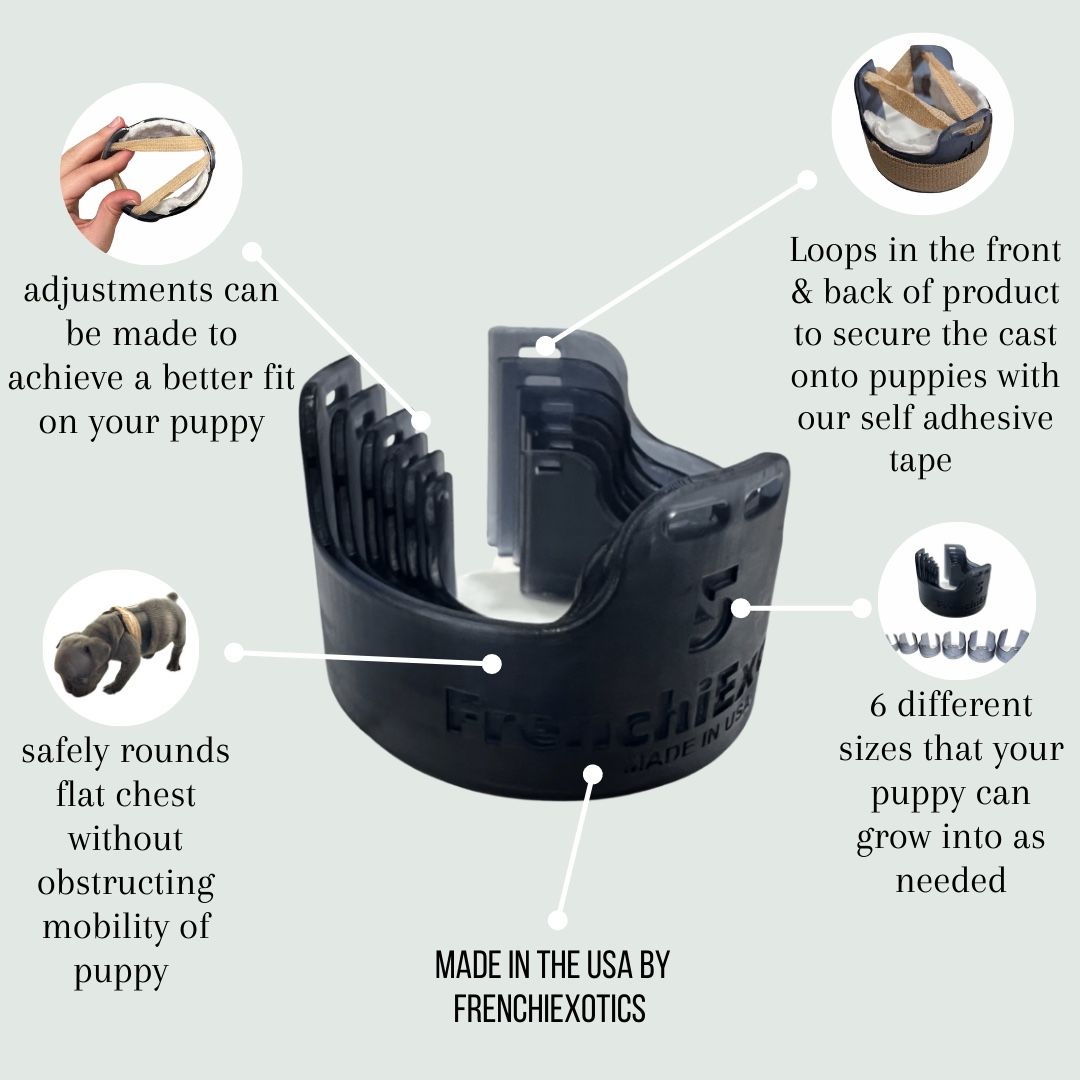 Puppy Flat Chest Kit | Breeder & Whelper Essential Product