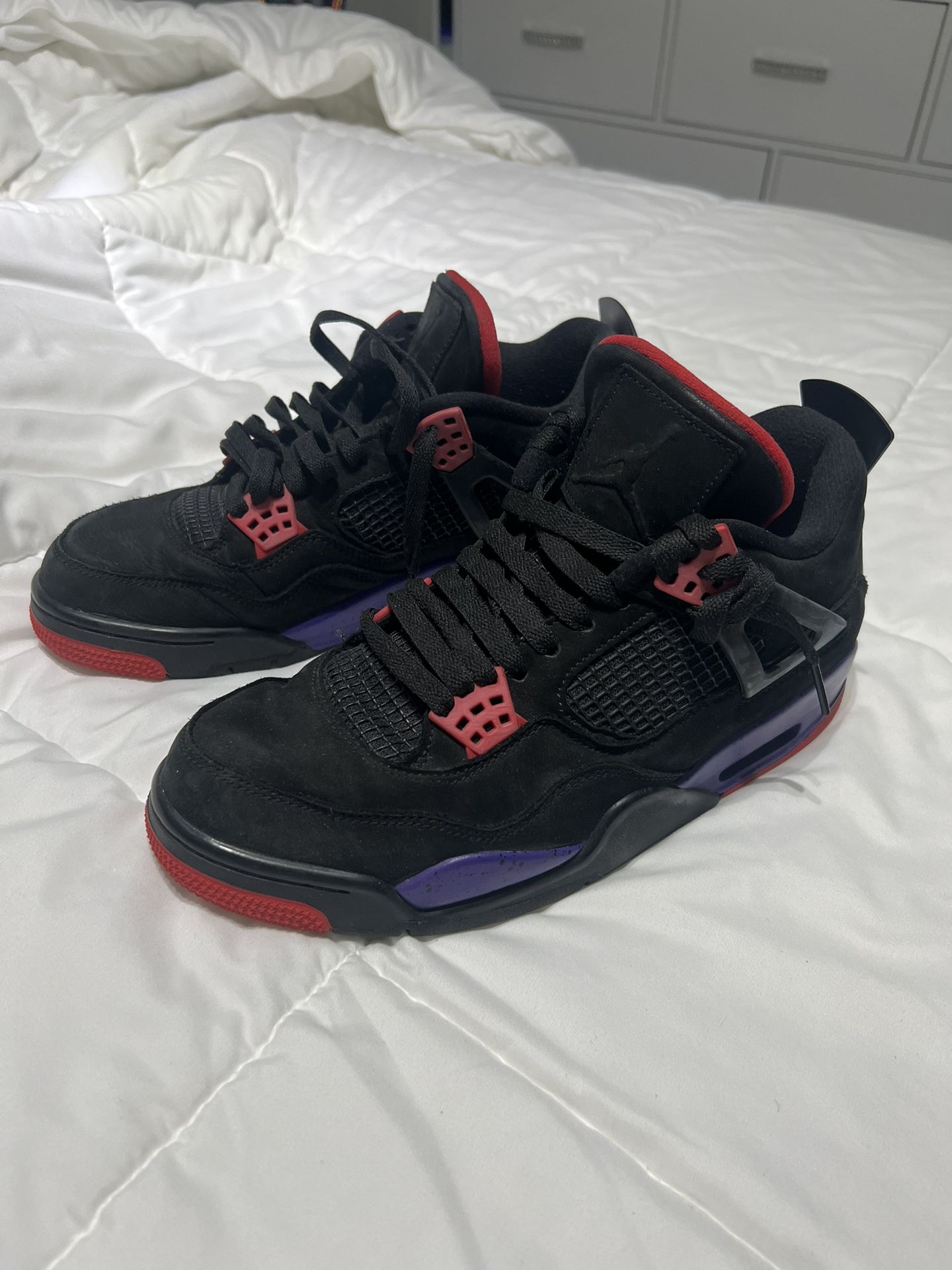 Jordan 4 Raptor OVO Size 9.5