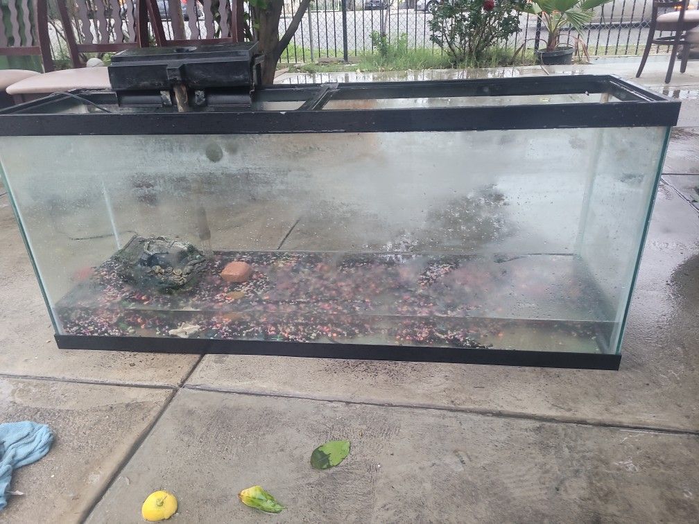 Fish Tanks for Sale in Los Angeles, CA OfferUp