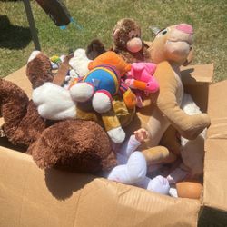 Stuff Animals