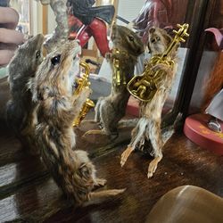 Taxidermy Chipmunks