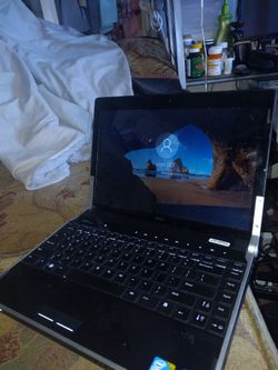 Dell XPS m1330 13.3in display