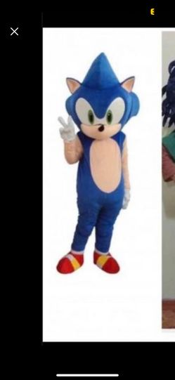 Sonic the hedgehog