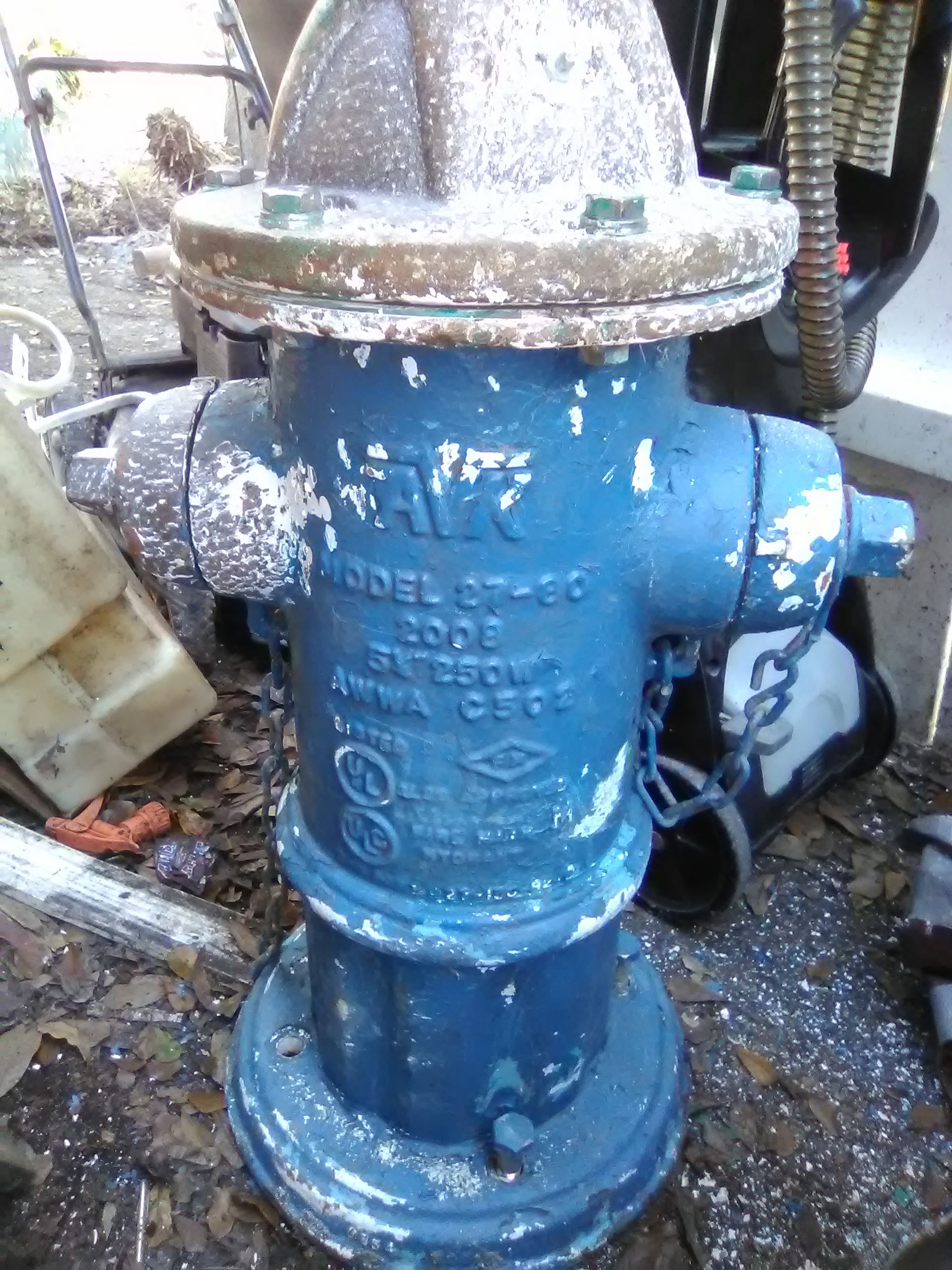 Real fire hydrant