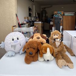 Stuffed Animal Assortment