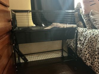 small animal home