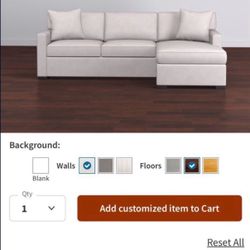 Living Spaces -Sofa Bed With chaise  $500 Obo