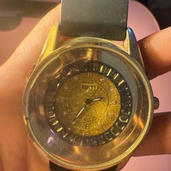 Bling Master Watch Model Number ET1194