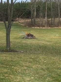 Clean fill dirt wanted