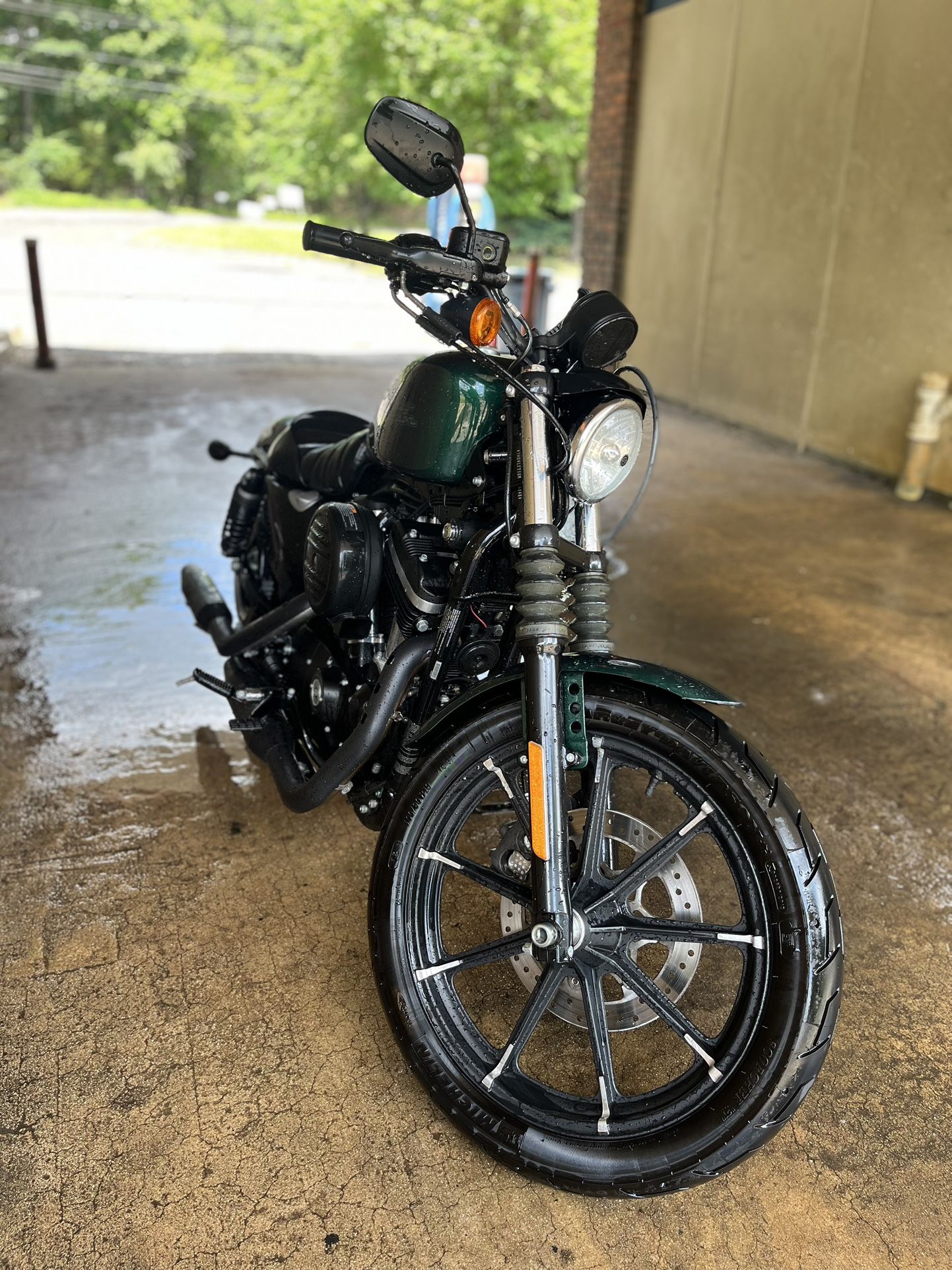 2021 Harley Davidson Sportster iron 884