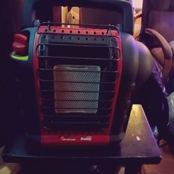 Buddy Heater