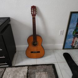 Guitar Palmer With Cover