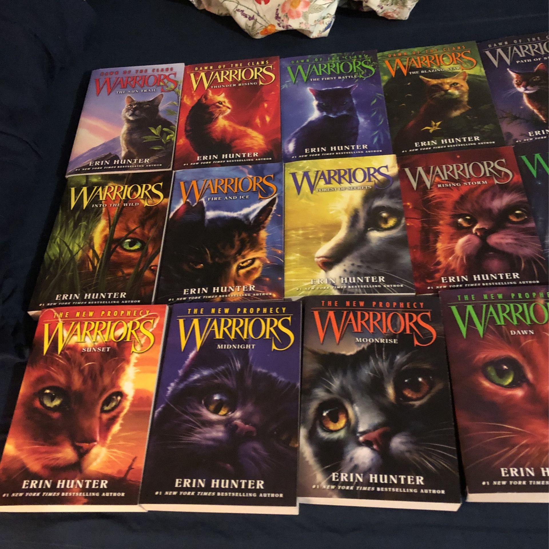 Warrior Cats Books FOR SALE